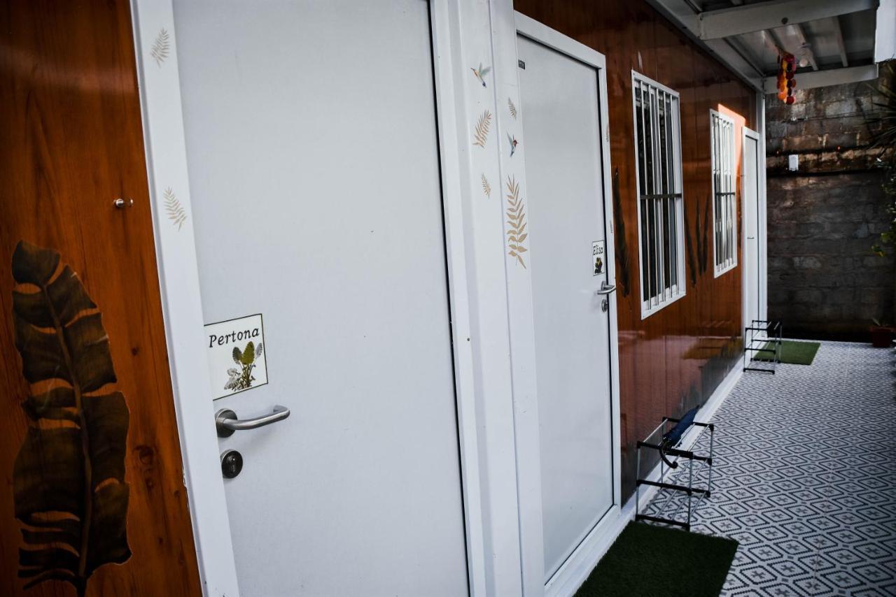 Olive Hostel Рохас Экстерьер фото